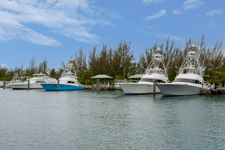 Fishing boats lined up in the  Riding Rock Marina on San Salvador