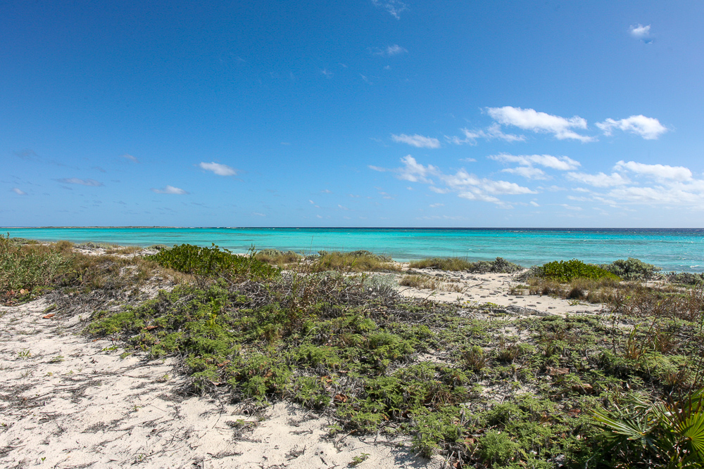 Vacant Waterview lots for sale in Harris Bay, San Salvador, The Bahamas