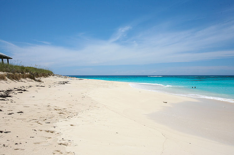 Oceanview Condo in Sandypont, San Salvador, The Bahamas