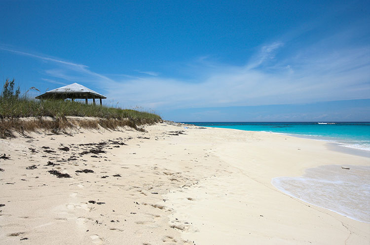 Oceanview Condo in Sandypont, San Salvador, The Bahamas