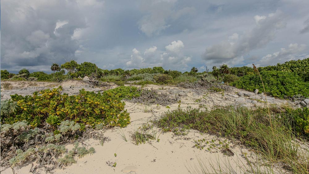 Vacant Beachfront Lot for sale in Snow Bay, San Salvador, The Bahamas